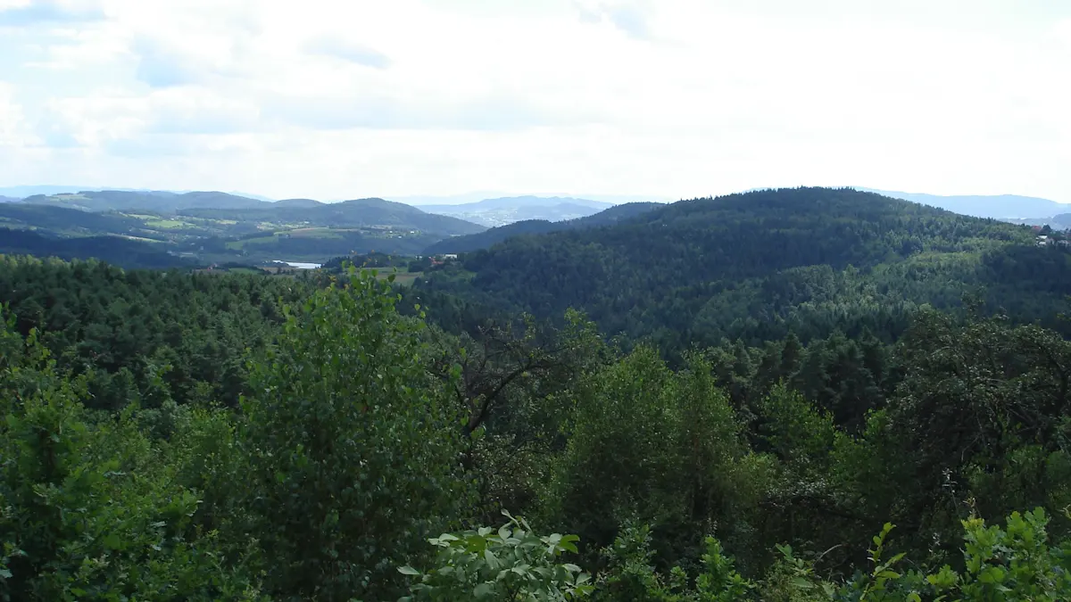 Widok na Głowacz od strony północnej