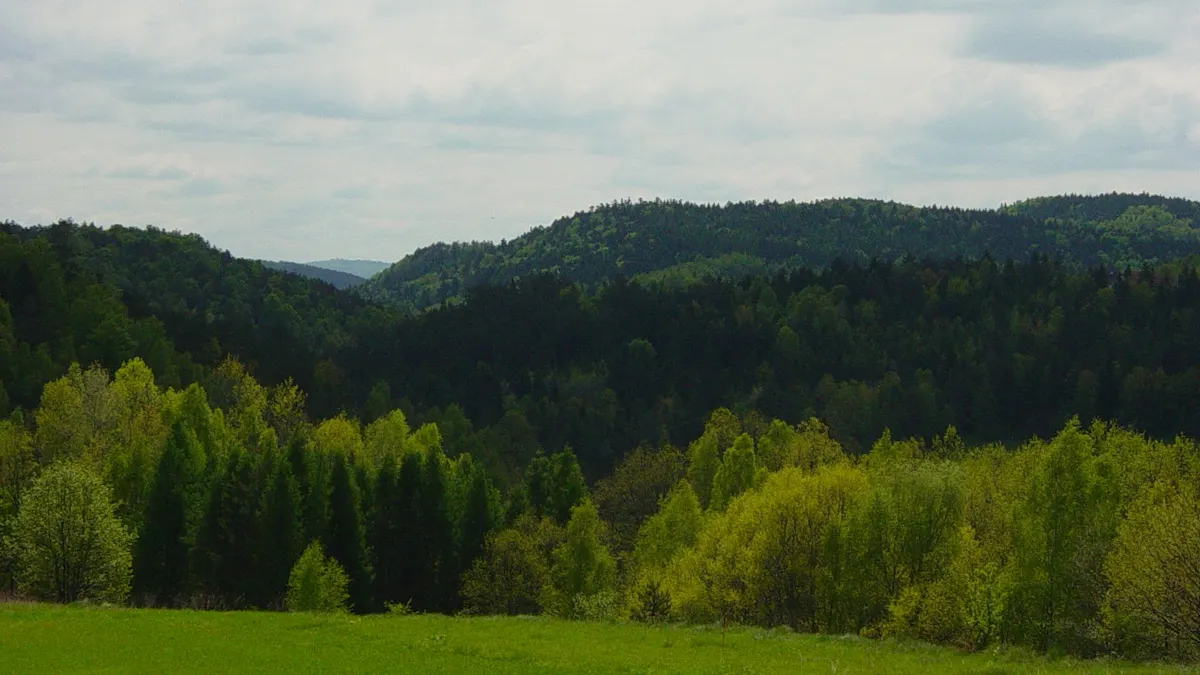 Widok od strony Iwkowej