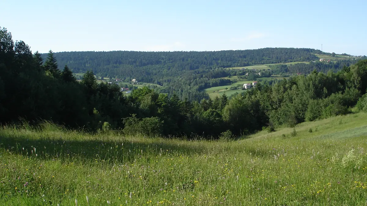 Widok z Wytrzyszczki w strone Kozieńca
