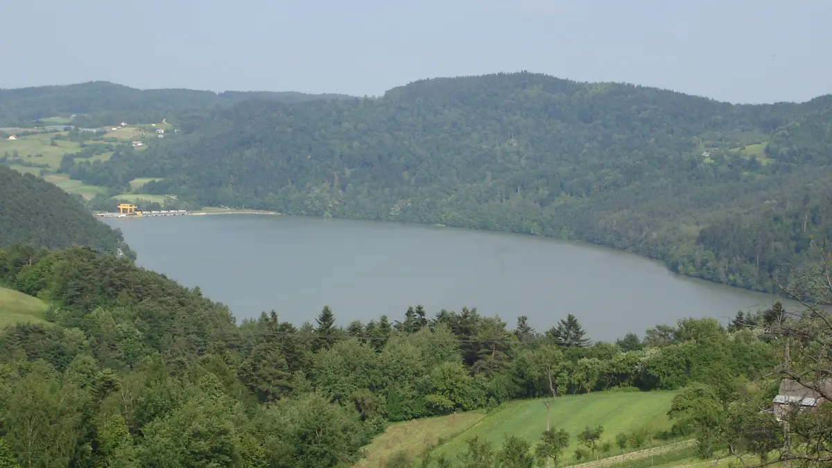 Widok na Jezioro Czchowskie spod szczytu Głowacza