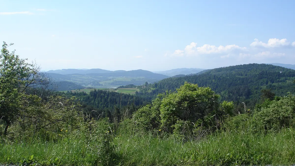 Widok na Będzieszynę